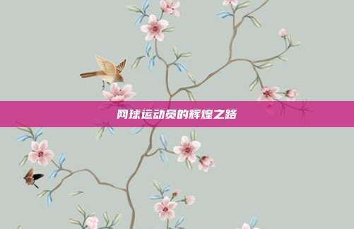 网球运动员的辉煌之路