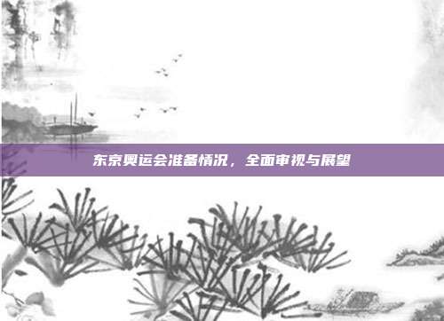 东京奥运会准备情况,全面审视与展望
