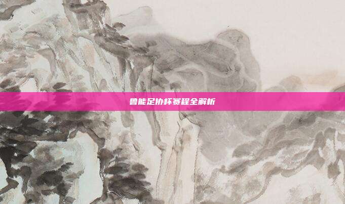 鲁能足协杯赛程全解析