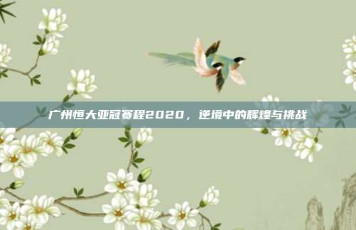 广州恒大亚冠赛程2020，逆境中的辉煌与挑战