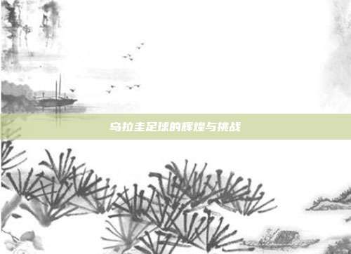 乌拉圭足球的辉煌与挑战