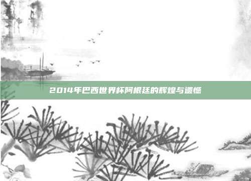 2014年巴西世界杯阿根廷的辉煌与遗憾