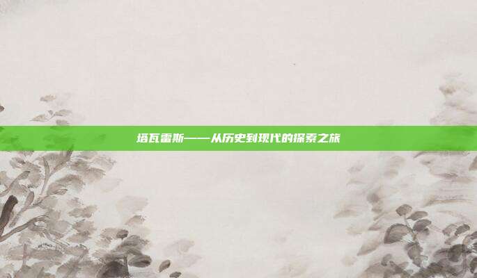 塔瓦雷斯——从历史到现代的探索之旅