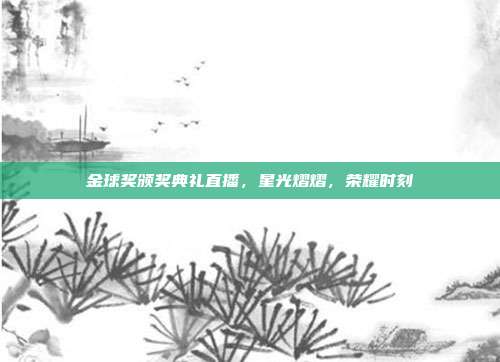 金球奖颁奖典礼直播，星光熠熠，荣耀时刻