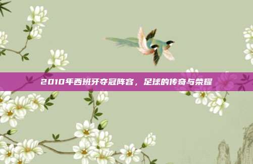 2010年西班牙夺冠阵容,足球的传奇与荣耀