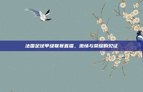 法国足球甲级联赛直播，激情与荣耀的见证