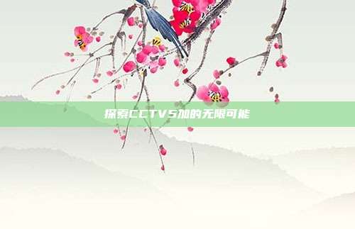 探索CCTV5加的无限可能