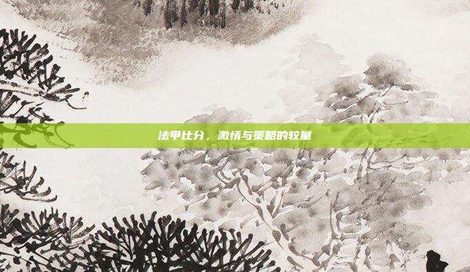 法甲比分,激情与策略的较量