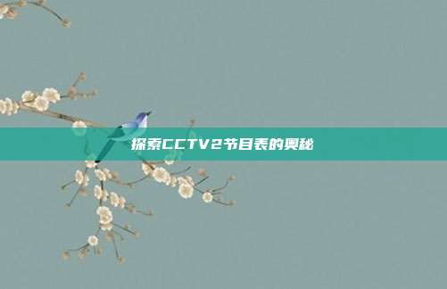 探索CCTV2节目表的奥秘