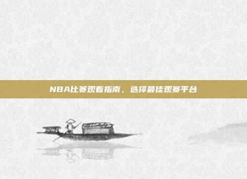 NBA比赛观看指南，选择最佳观赛平台