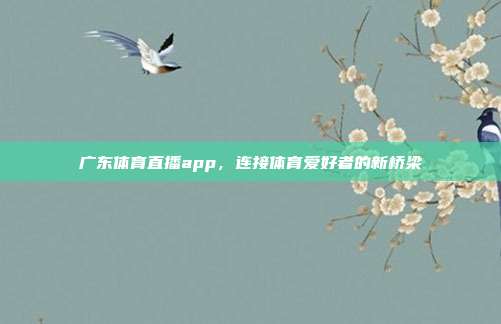 广东体育直播app，连接体育爱好者的新桥梁