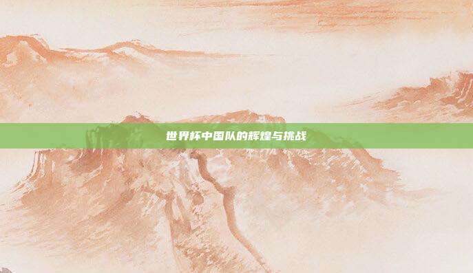 世界杯中国队的辉煌与挑战