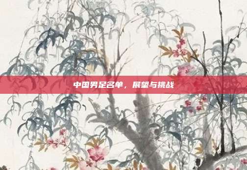 中国男足名单,展望与挑战