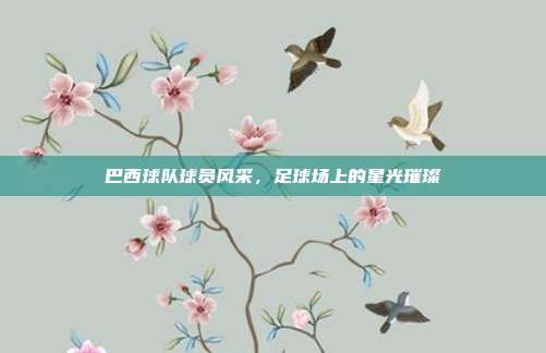 巴西球队球员风采,足球场上的星光璀璨