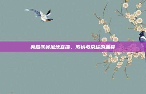 英超联赛足球直播,激情与荣耀的盛宴