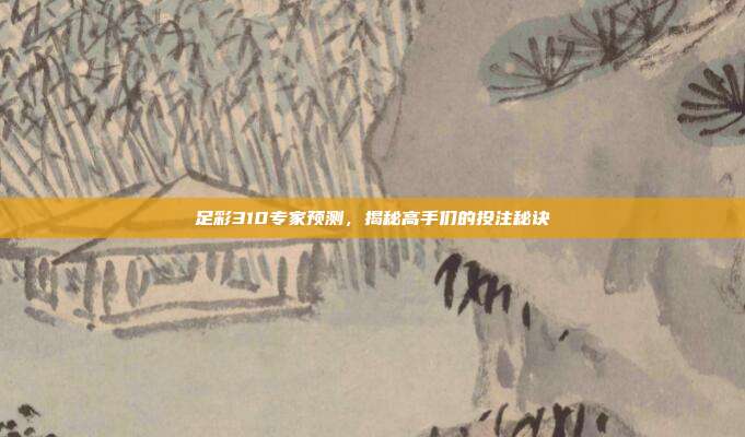 足彩310专家预测，揭秘高手们的投注秘诀