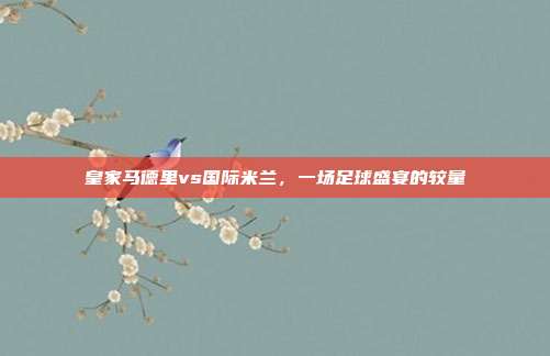 皇家马德里vs国际米兰,一场足球盛宴的较量