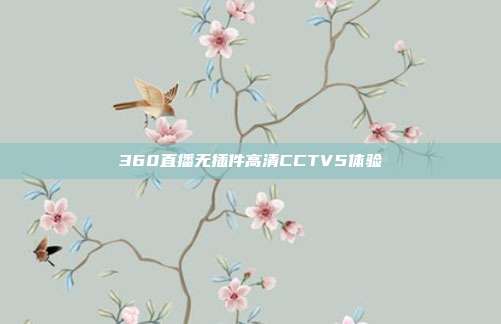 360直播无插件高清CCTV5体验