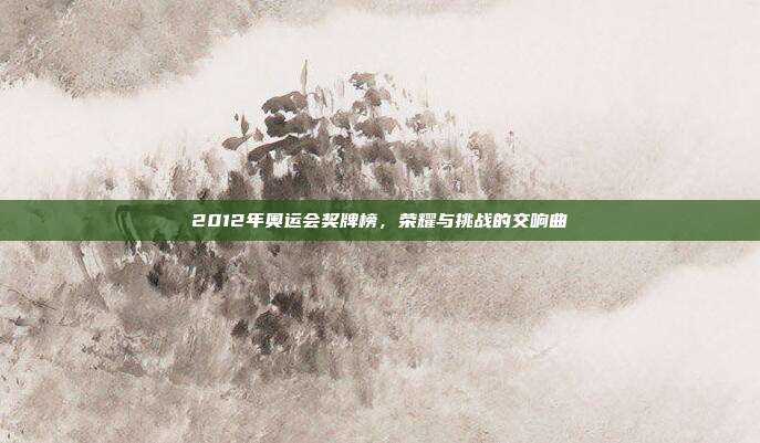 2012年奥运会奖牌榜，荣耀与挑战的交响曲