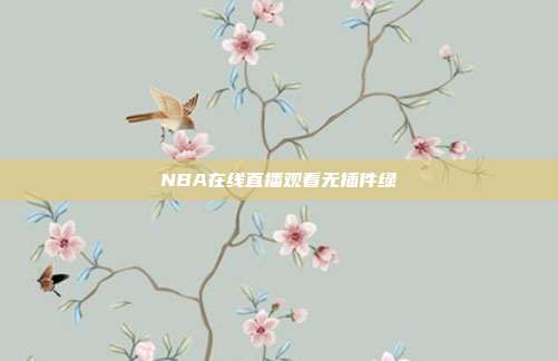 NBA在线直播观看无插件绿