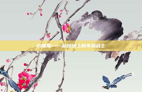 约维奇——足球场上的不屈战士