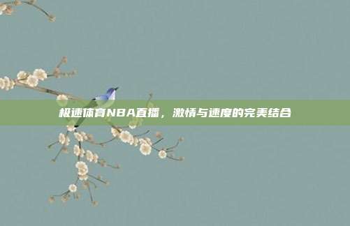 极速体育NBA直播，激情与速度的完美结合