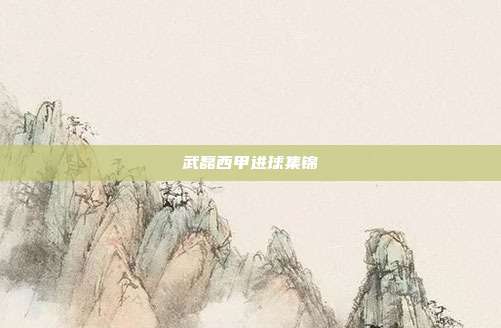 武磊西甲进球集锦