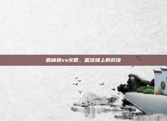 森林狼vs火箭，篮球场上的对决