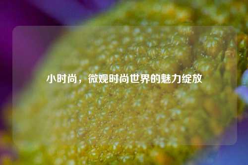 小时尚,微观时尚世界的魅力绽放