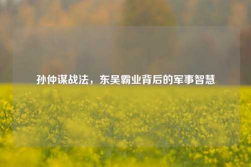 孙仲谋战法，东吴霸业背后的军事智慧