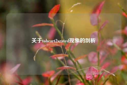 关于toheart2xrated现象的剖析