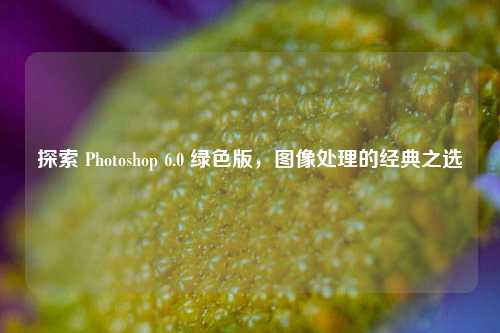 探索 Photoshop 6.0 绿色版,图像处理的经典之选