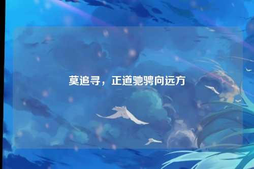 莫追寻，正道驰骋向远方