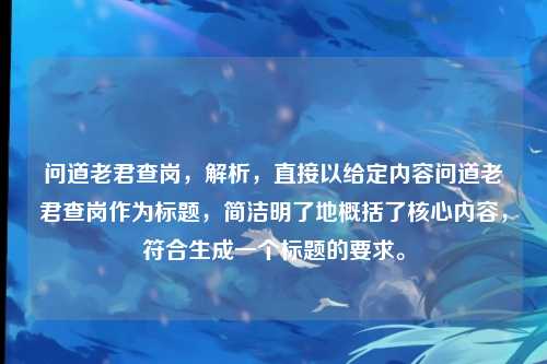 问道老君查岗，解析，直接以给定内容问道老君查岗作为标题，简洁明了地概括了核心内容，符合生成一个标题的要求。