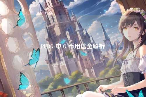PUBG 中 G 币用途全解析