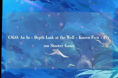 CSGO: An In - Depth Look at the Well - Known First - Person Shooter Game