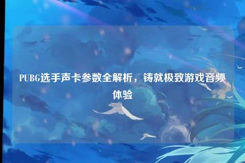 PUBG选手声卡参数全解析，铸就极致游戏音频体验