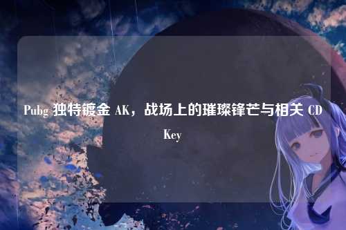 Pubg 独特镀金 AK，战场上的璀璨锋芒与相关 CDKey