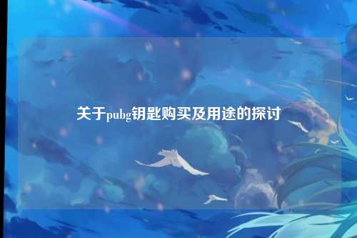 关于pubg钥匙购买及用途的探讨