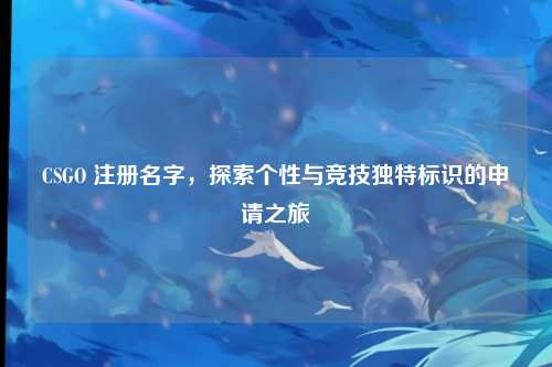CSGO 注册名字，探索个性与竞技独特标识的申请之旅