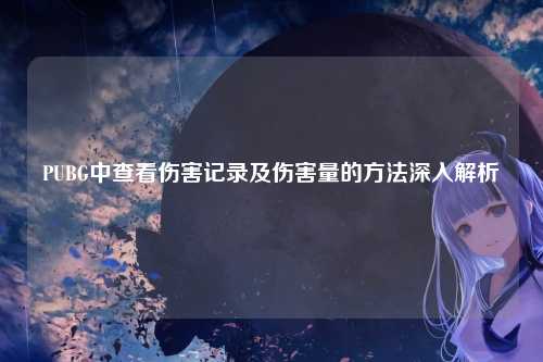 PUBG中查看伤害记录及伤害量的方法深入解析