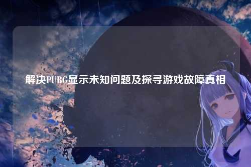 解决PUBG显示未知问题及探寻游戏故障真相