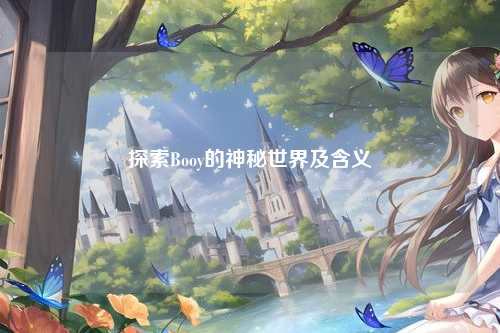 探索Booy的神秘世界及含义